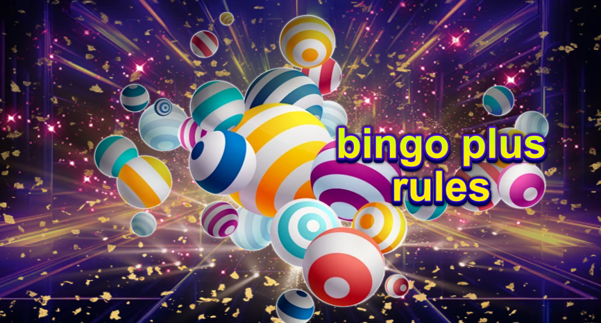 bingo plus rules