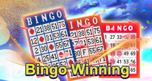 Bingo winning patterns