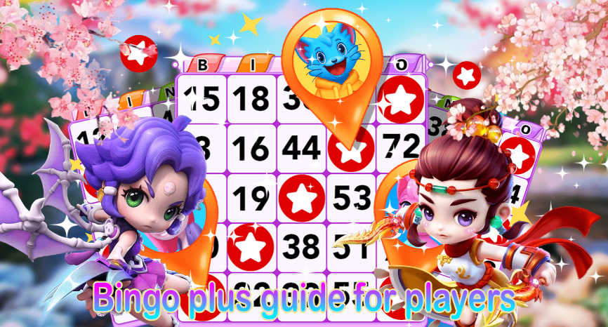 bingo plus guide for players