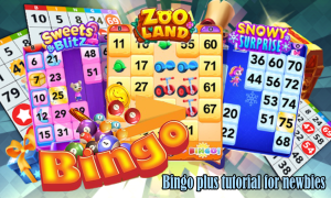 bingo plus game rules