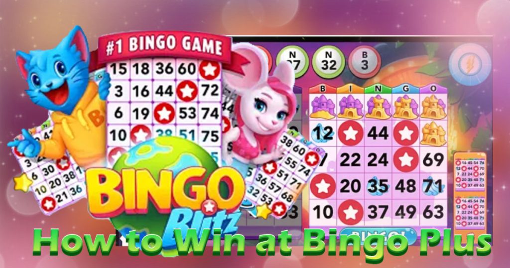 How To Win At Bingo Plus
